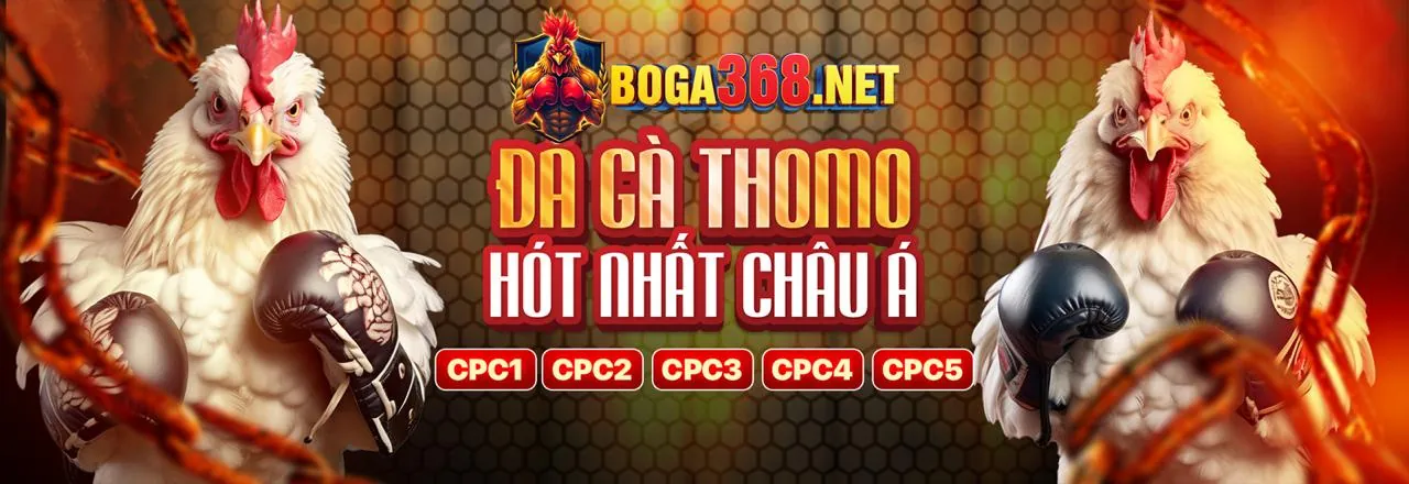 Tổng hợp các tính năng game đa dạng trên nền tảng 66mb